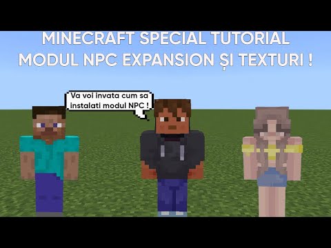 Ultimate NPC Mod Install Guide + Epic Texture Change!