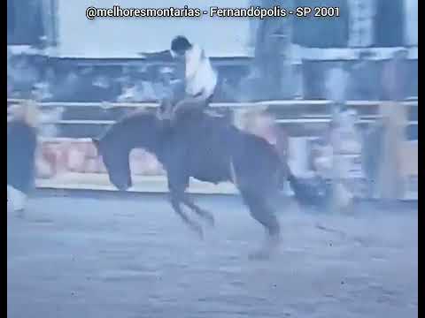 Luiz Antonio do Nascimento x Calote - Rodeio de Fernandópolis 2001 #rodeio #cutiano