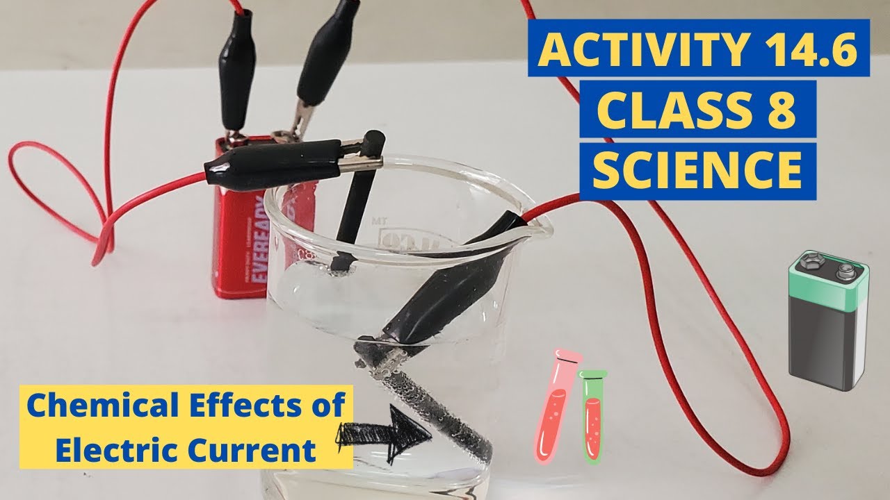 ACTIVITY 14.6 ll CLASS 8 ll SCIENCE ll CHAPTER 14 ll NCERT ll JIGAR SIR