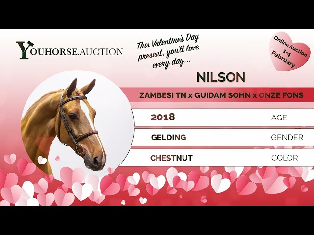 Nilson