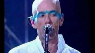 R.E.M. Walk Unafraid Live