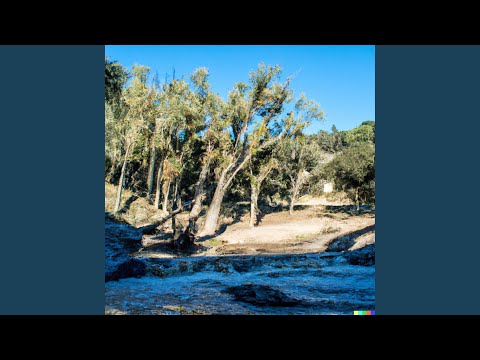 Selección de chayas