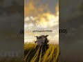 Relájense Aquí En Este Video Relax Roblox Viral Realxmusic