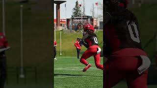 ADRIAN GREENE IN MID-SEASON FORM ???? #football #stampeders #cfl #interception