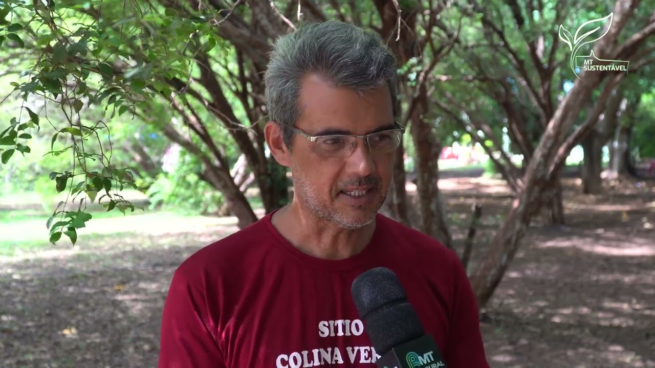 Jabuticaba: produção é fonte de renda na agricultura familiar | MT Sustentável ep. 88