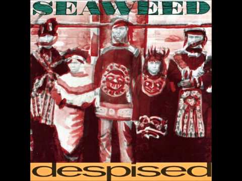 Seaweed - One Out Of Four