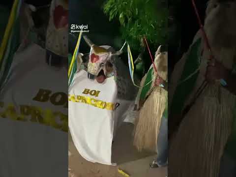 reisado de boa hora Piauí