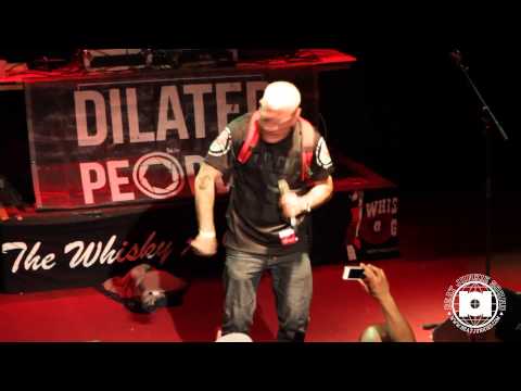 Babu: Directors of Photography Release with Dilated Peoples