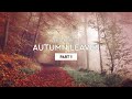 zero-project - Autumn leaves - Part 1