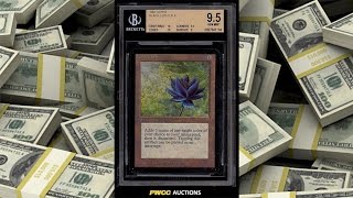 preview picture of video '$20 Black Lotus Considered Too Expensive!'