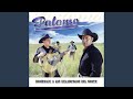 Capullito De Rosa
