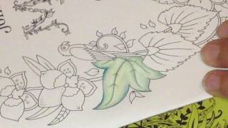 Magical Jungle By Johanna Basford Part 1 Of Page Colouring Leaves
