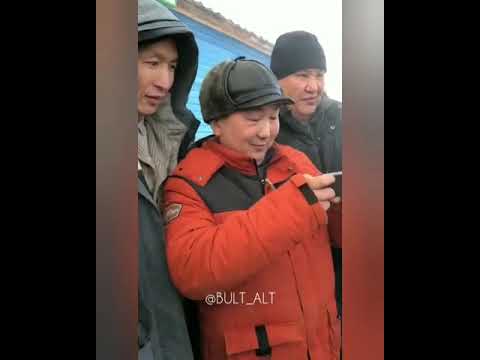 Видеофакт: В Якутии охотник добыл двух серых хищников Видеофакт: В Якутии охотник добыл двух серых хищников