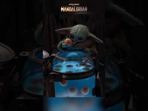 Eating eggs #starwars #themandalorian