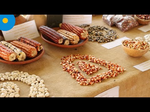 Intercambio de Semillas Criollas en La Paz