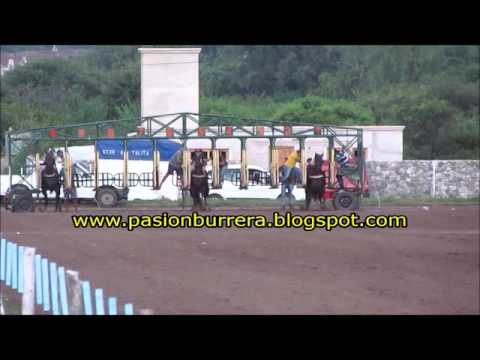 Destello Moro, Don Sohar (14-02-16)