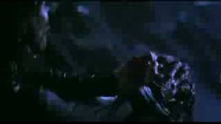 Thirty Hours Of Pain All At Once - The Crow