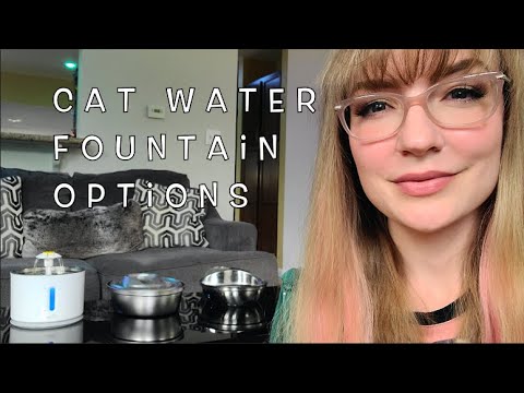 How to Choose a Pet Water Fountain