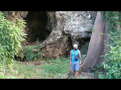 Puerto Rico Vacation + Taino Folklore , Beaches , Rivers , Petroglyphs , and Ceiba Trees (Kapok)