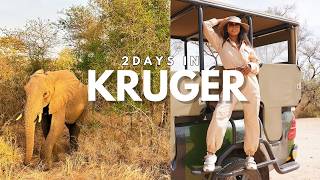 2 Days in Kruger National Park: Safari Game Drives with Kruger Gate Hotel