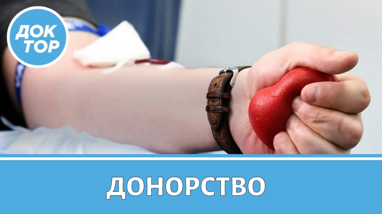 Донорство крови: правда и мифы