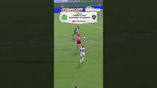 OS GOLS DE CHAPECOENSE 1 x 4 BOTAFOGO!
