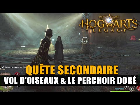 Hogwarts Legacy: Walkthrough - Birds in Flight (Ruins Puzzle) & The Golden Perch