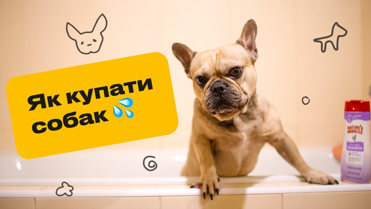 YouTube video preview