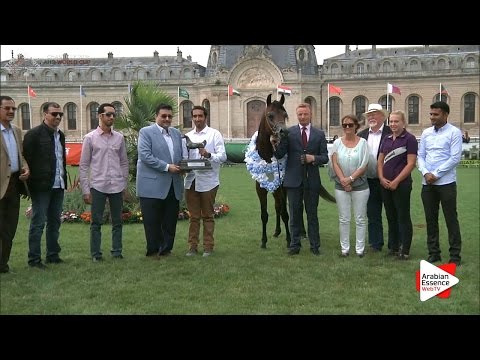 SILVER - N.62 AL ARYAM AMGAAD - Chantilly 2016 World Cup - Colts Championship (Class 15)