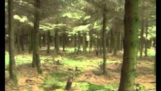 Part 1: Band of Brothers E Co foxholes, Bastogne, Belgium