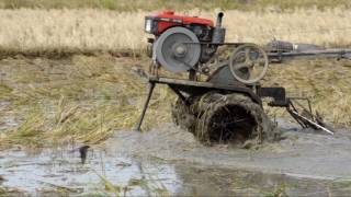 Reduced Tillage Technology at El Niño