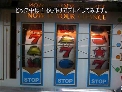 バニーガールの動画