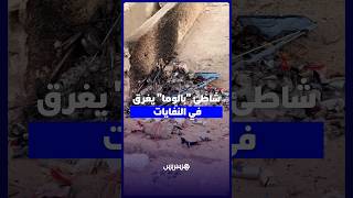 شاطئ بالوما يتحول إلى مطرح للنفايات في ذروة الصيف thumbnail