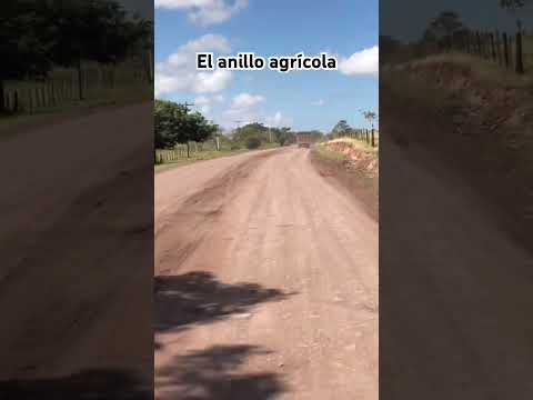 Desde sampedro de catacamas olancho