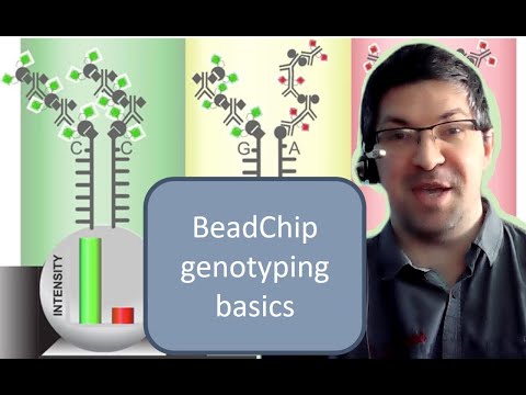 Illumina BeadChip genotypes - The basics