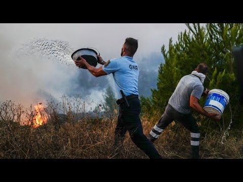Feuerwehrleute kämpfen gegen Waldbrand bei Lissabon