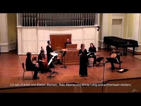 Antonio Caprioli (ca. 1500) - Una leggiadra ninfa