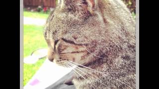 Uncle BeeBee help me to climb up there.... Hello 😳#100happydays day49