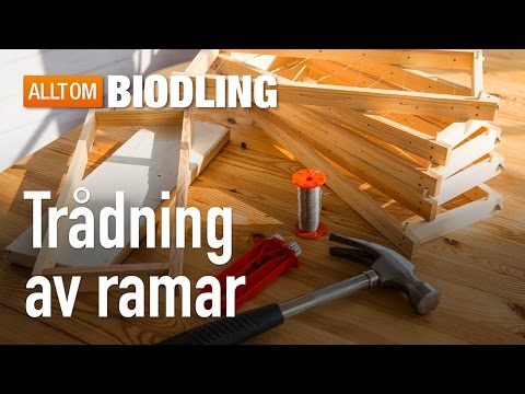 Trådning av ramar - Biredskap - Biodling