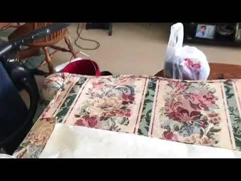 Bed bugs infest couch in Spring Lake, NJ
