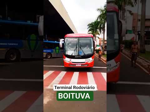 Viação CALVIP - Terminal Rodoviário de Boituva SP #viagem