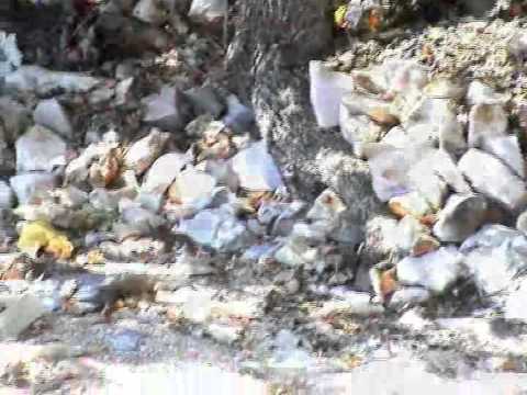 MC Buffalo - Smeće (obrada iz 2001. by EKOPlanet)