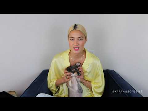 download lagu mp3 mp4 Kara Wilson, download lagu Kara Wilson gratis, unduh video klip Kara Wilson