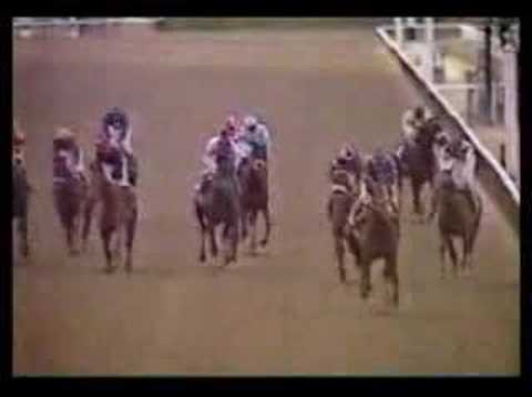 John Henry - 1981 Jockey Club Gold Cup