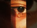 Boy Crying WhatsApp Status Sad Crying Status Shorts