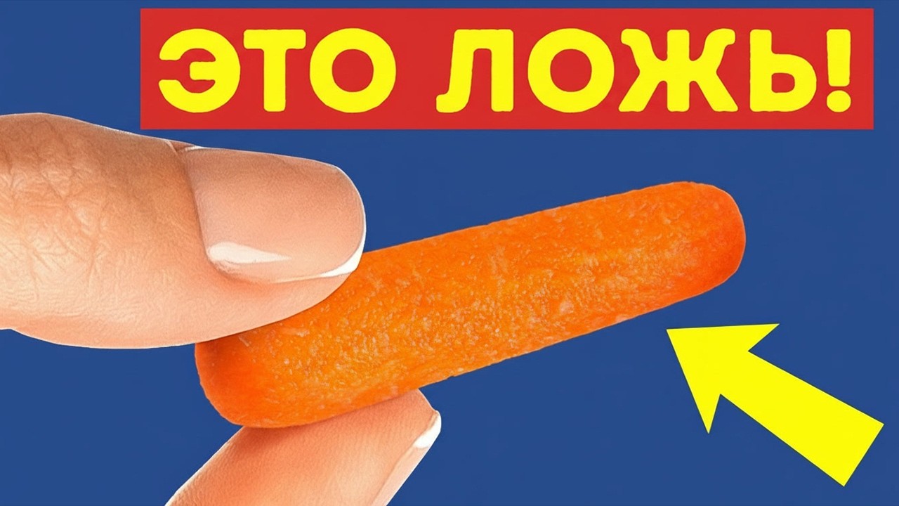 103 факта, которые заставят вас посмотреть на мир совсем иначе