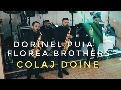 Dorinel Puia Florea Brothers  Bodo 🟡Colaj Doine 👉Live 2024