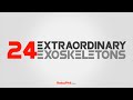 24 Extraordinary Exoskeleton