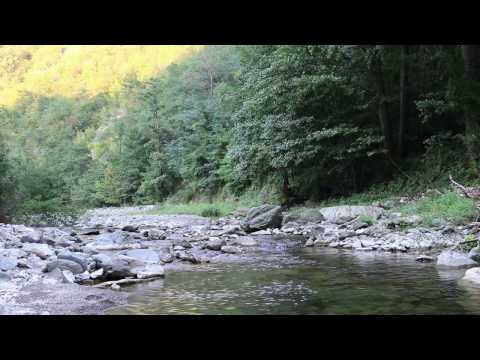 🌟 Nihil Sine Deo 🌟 #Drumul_CiViLiZAȚiiLOR #DROBETA 🌟 #Mânăstirea_Topolnița 🌟 | #MH | #Oltenia |