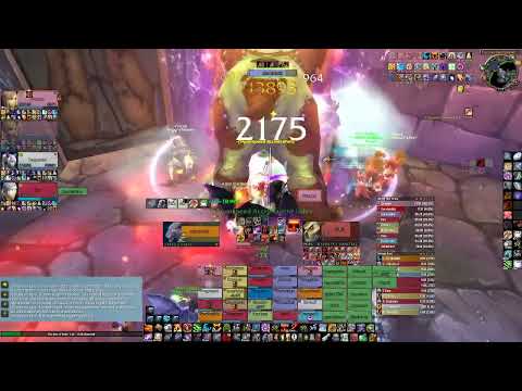 Reign 48:45 Naxxramas Speedrun | Classic WotLK Feral Druid